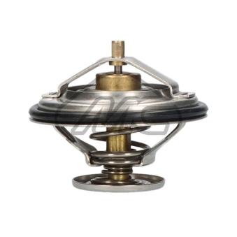 Thermostat d'eau Metalcaucho