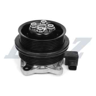 Pompe à eau DOLZ A228V