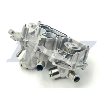 Pompe à eau, refroidissement du moteur DOLZ A287