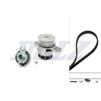Pompe à eau + kit de courroie de distribution DOLZ