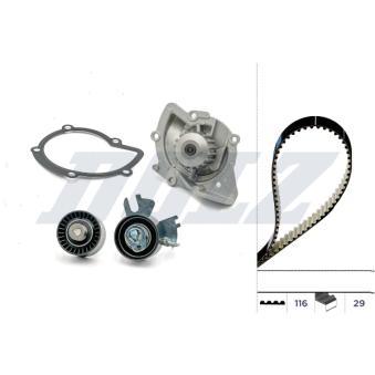 Pompe à eau + kit de courroie de distribution DOLZ