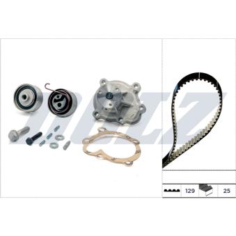 Pompe à eau + kit de courroie de distribution DOLZ