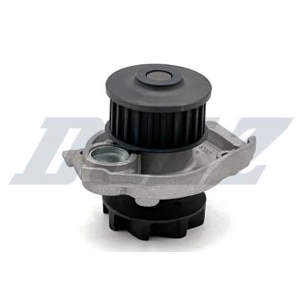 Pompe à eau DOLZ S319