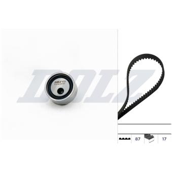 Kit de distribution DOLZ