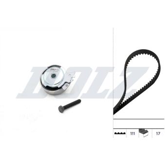 Kit de distribution DOLZ