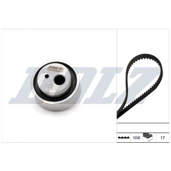 Kit de distribution DOLZ