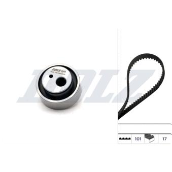 Kit de distribution DOLZ