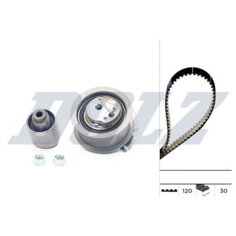 Kit de distribution DOLZ