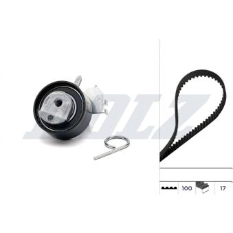 Kit de distribution DOLZ