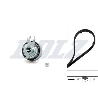 Kit de distribution DOLZ