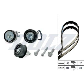 Kit de distribution DOLZ SKD080