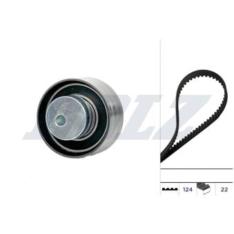 Kit de distribution DOLZ