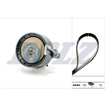 Kit de distribution DOLZ