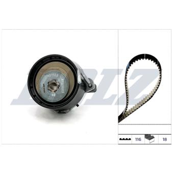 Kit de distribution DOLZ