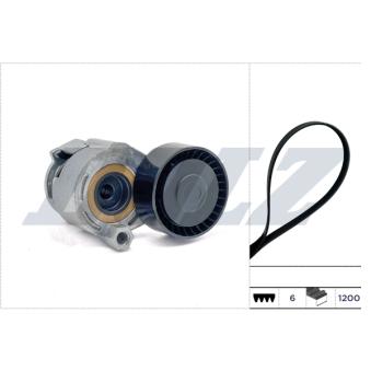 Jeu de courroies trapézoïdales à nervures DOLZ