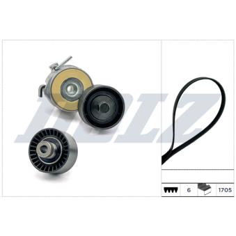 Jeu de courroies trapézoïdales à nervures DOLZ