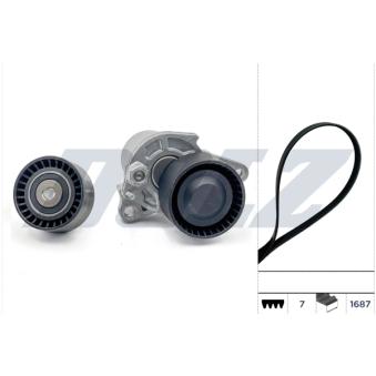 Jeu de courroies trapézoïdales à nervures DOLZ