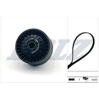 Jeu de courroies trapézoïdales à nervures DOLZ