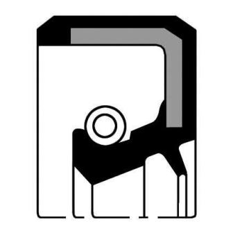 Bague d'étanchéité, boîte de vitesse manuel PAYEN