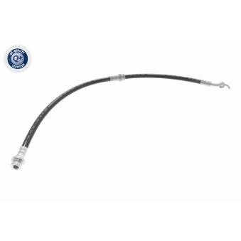 Flexible de frein avant gauche ACKOJA A38-0219