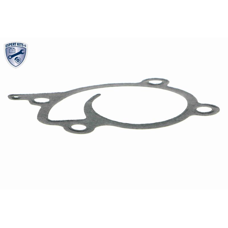 Pompe à eau ACKOJA A38-50009 - Visuel 1