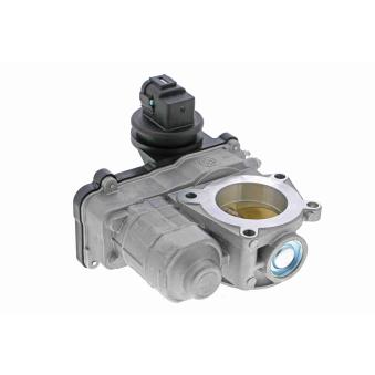 Corps papillon ACKOJA A38-81-0002