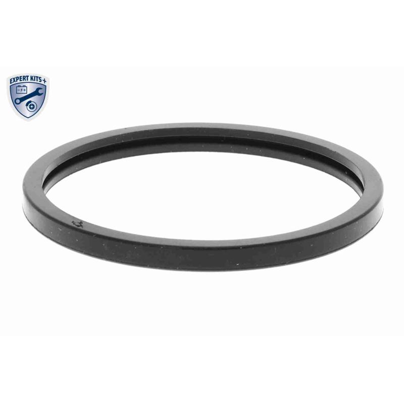 Thermostat d'eau ACKOJA A38-99-0003 - Visuel 2