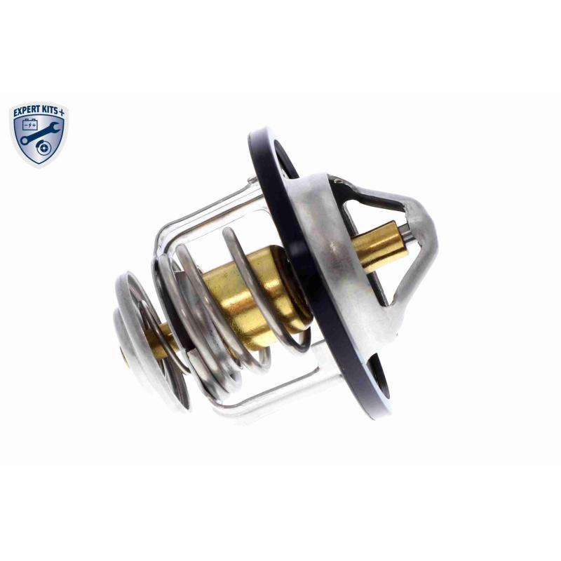 Thermostat d'eau ACKOJA A38-99-0003 - Visuel 3