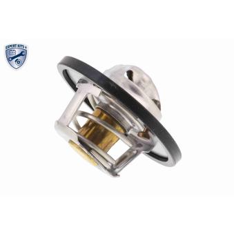 Thermostat d'eau ACKOJA A38-99-0008