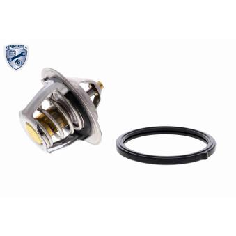 Thermostat d'eau ACKOJA A53-99-0002