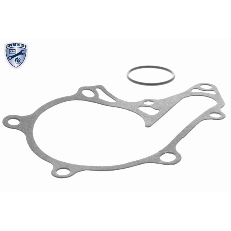 Pompe à eau ACKOJA A70-50001 - Visuel 1