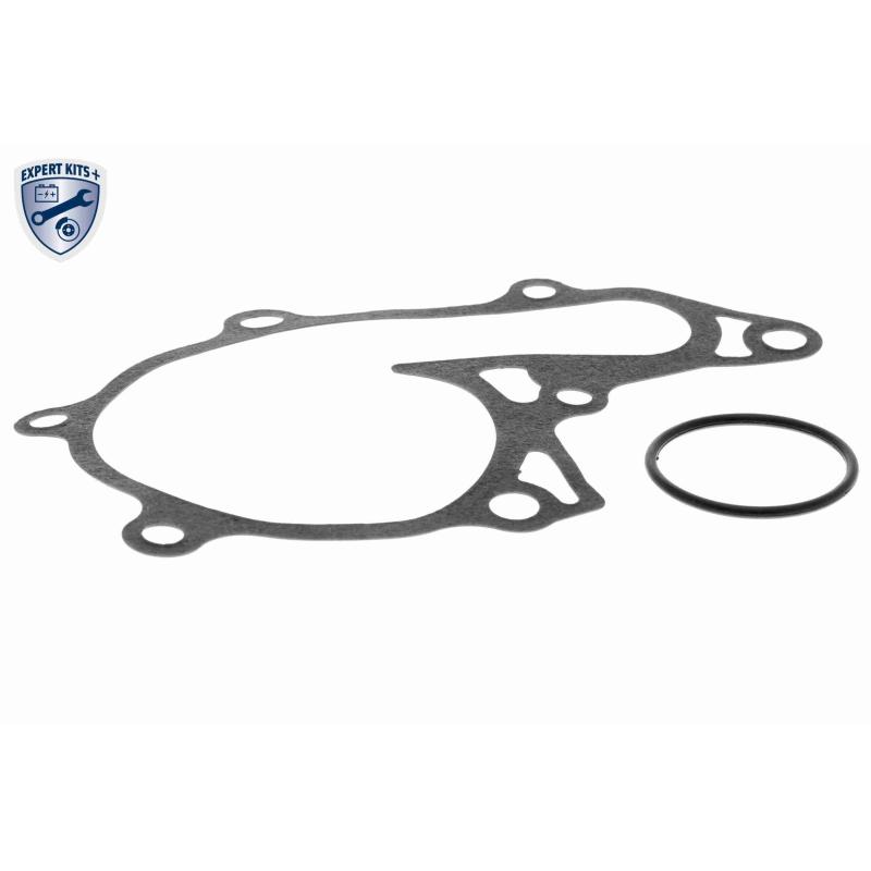 Pompe à eau ACKOJA A70-50003 - Visuel 1