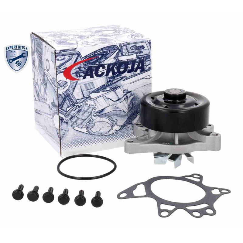 Pompe à eau ACKOJA A70-50012 - Visuel 1