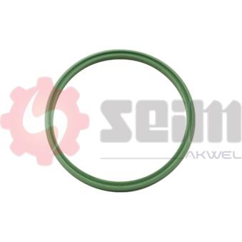 Gaine de suralimentation SEIM