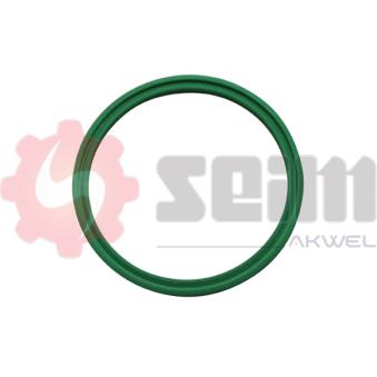 Gaine de suralimentation SEIM