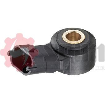 Capteur de cognement SEIM