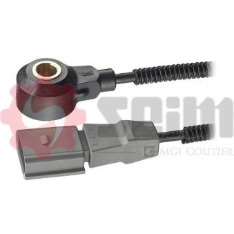 Capteur de cognement SEIM