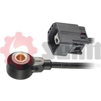 Capteur de cognement SEIM