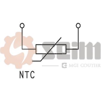 Capteur, température de l'air d'admission SEIM SS86