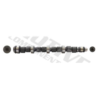 Arbre à came MOTIVE T1006