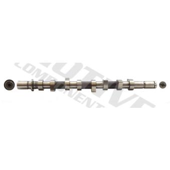 Arbre à came MOTIVE T1014