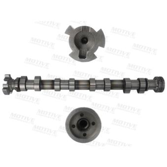 Arbre à came MOTIVE