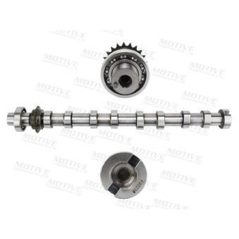 Arbre à came MOTIVE