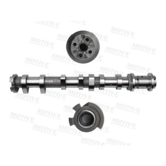 Arbre à came MOTIVE T4531