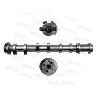 Arbre à came MOTIVE T4532