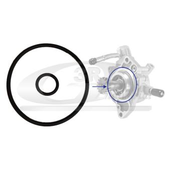 Jeu de joints, pompe à vide 3RG