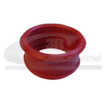 Gaine de suralimentation 3RG