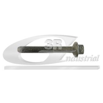 Vis, support pour controleur d'injecteurs 3RG