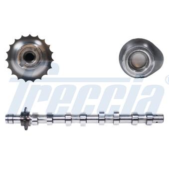 Arbre à came FRECCIA