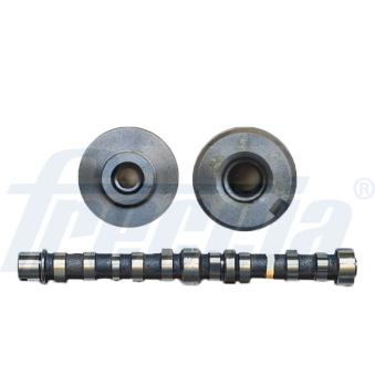 Arbre à came FRECCIA